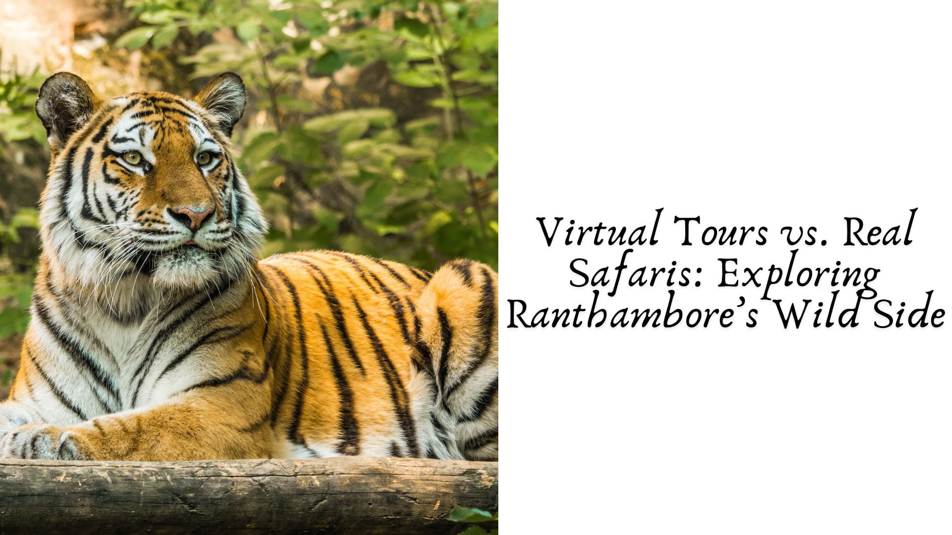 Virtual Tours vs. Real Safaris: Exploring Ranthambore’s Wild Side