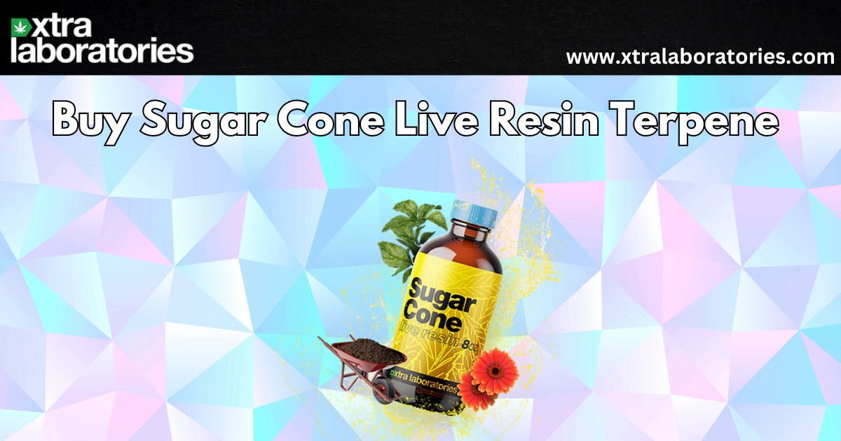 Savor the Sweetness: Buy Sugar Cone Live Resin Terpene | Xtra Laboratories